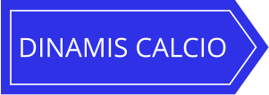 DINAMIS CALCIO